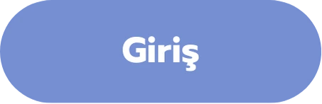 Giriş